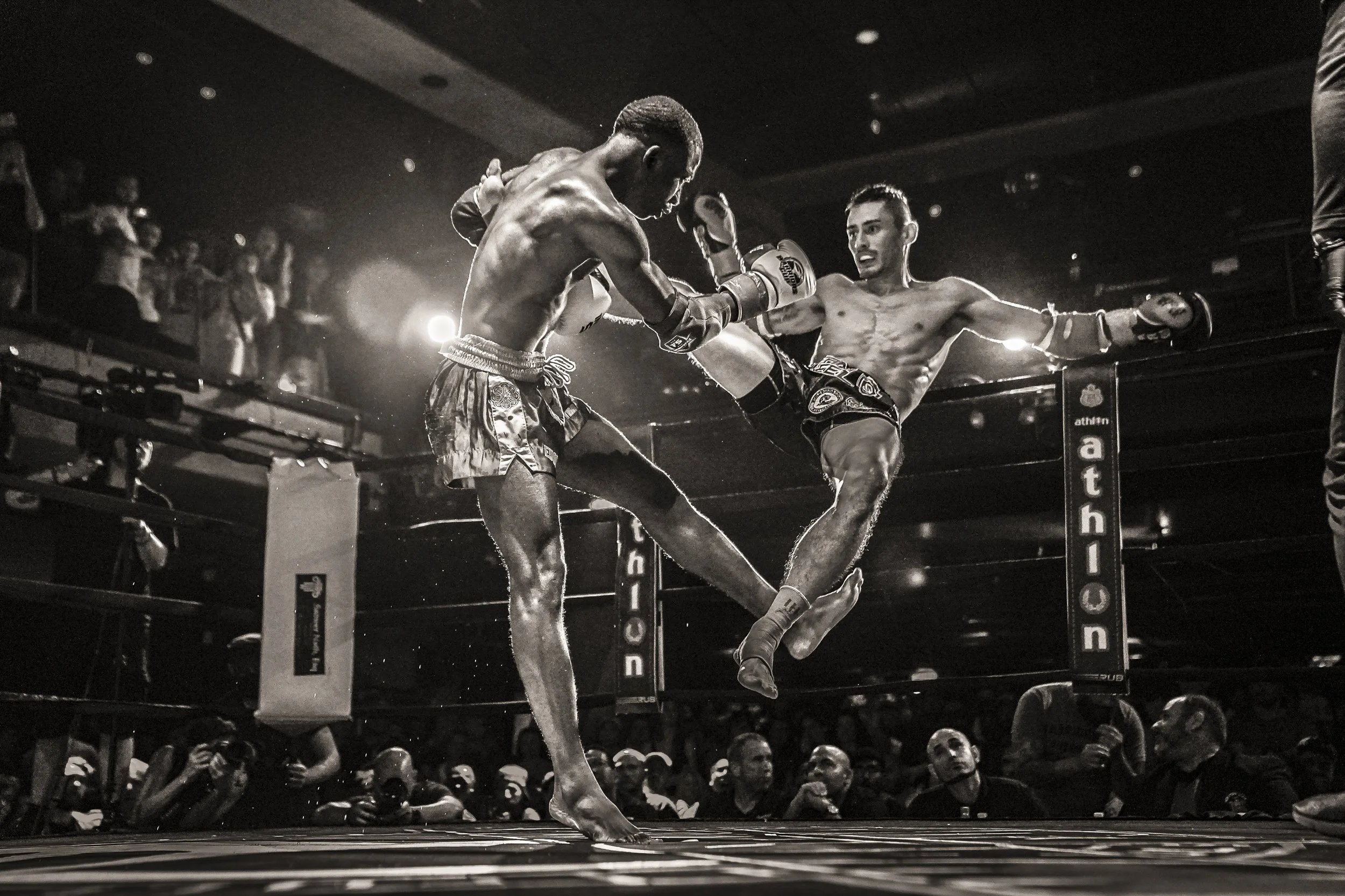 website smaller 00-7.JPG