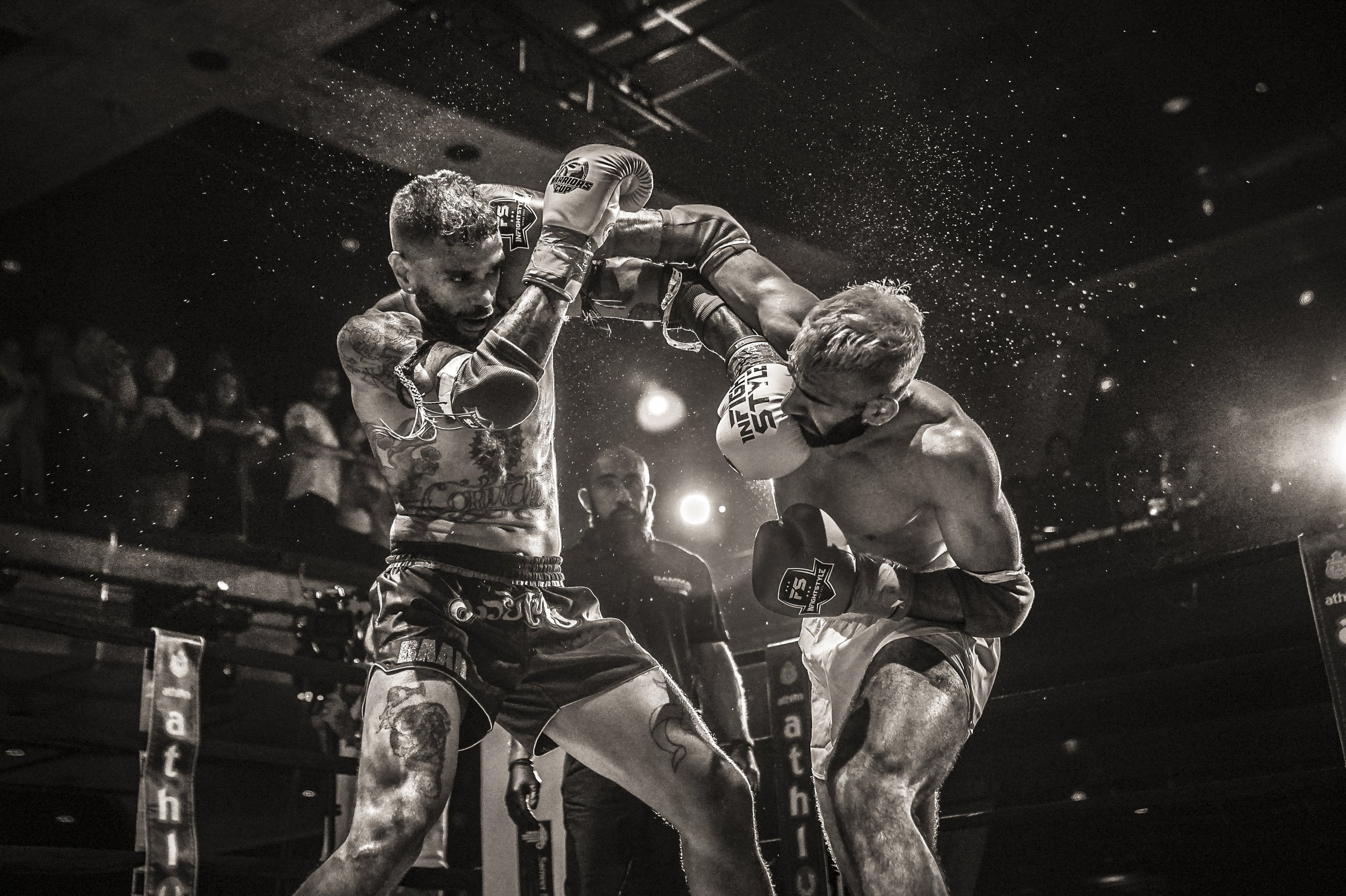 website smaller 00-6.JPG