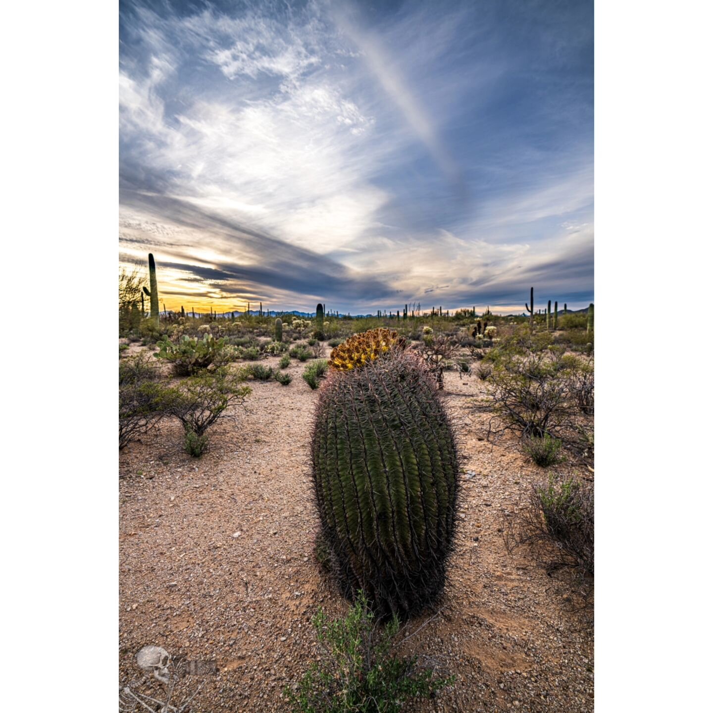 Just a few photos from my most recent trip out to Arizona.  It's really important for me, when travelling, to just get out and walk around sometimes. No schedule.  No goal.  Just walk and see what you see. 

Shot on Sony A7RV

#tucsonarizona 
.
.
.
.