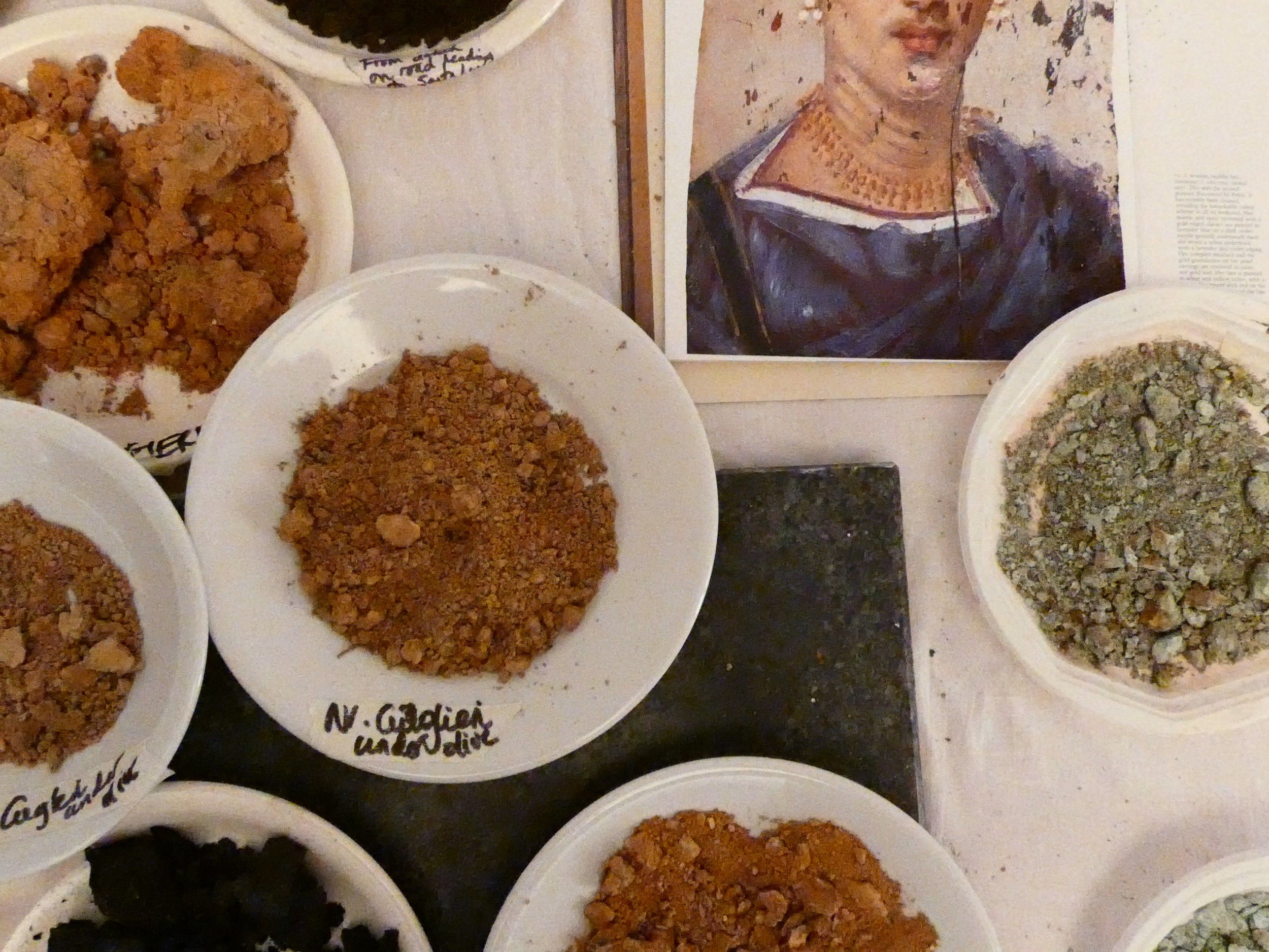 EARTHS TO PIGMENTS, PLANTS TO INKS.