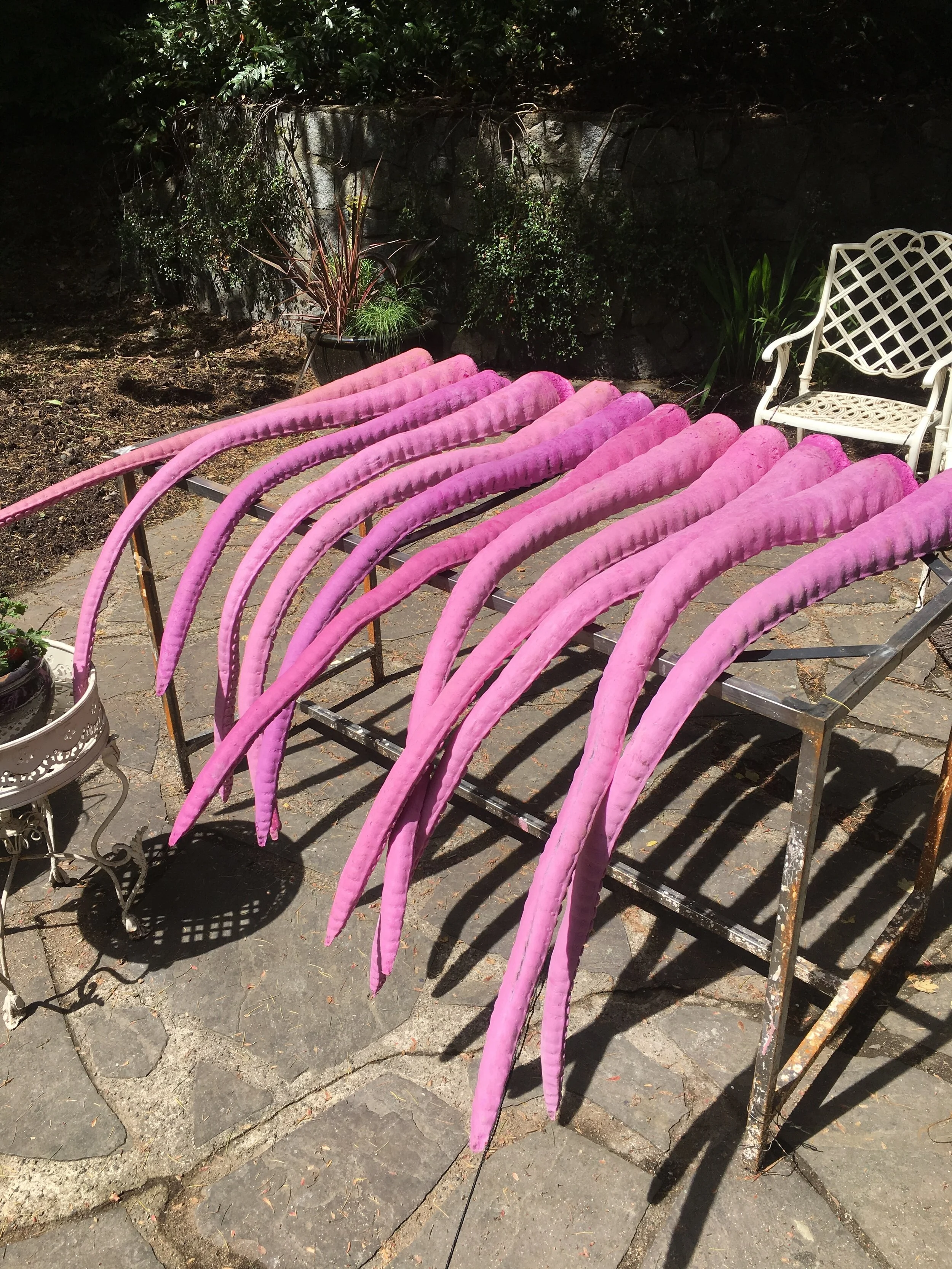 IMG_0925.JPG