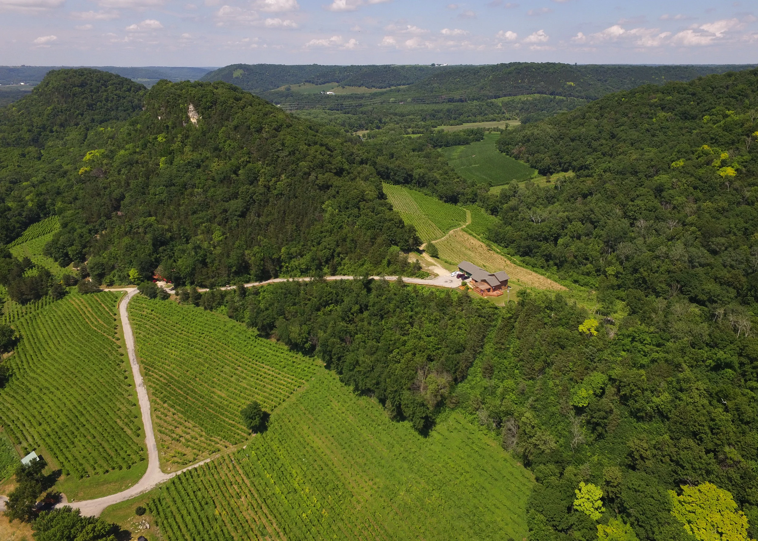 DJI_0625.jpg