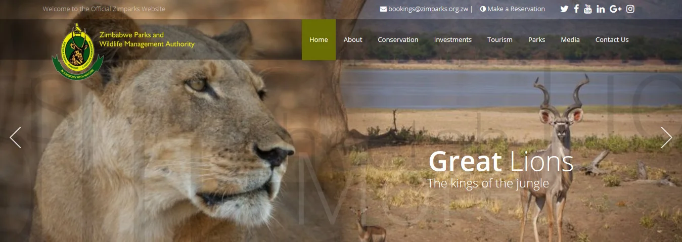 A screenshot of Zimparks’ home page.