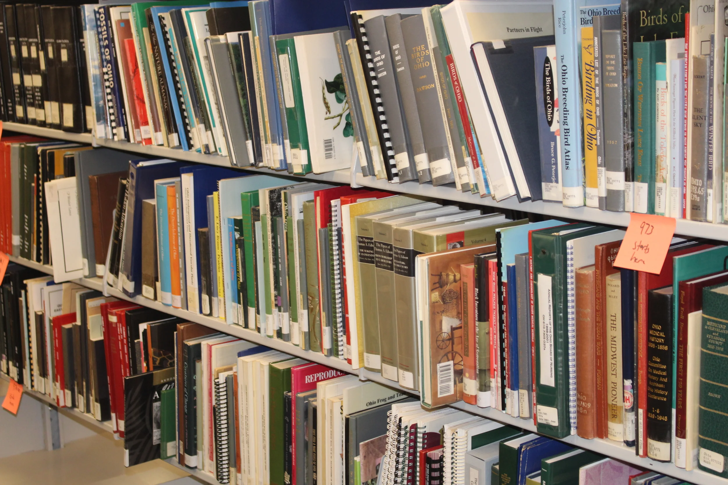 The Main Library Renovations Will Make You Beyond Happy