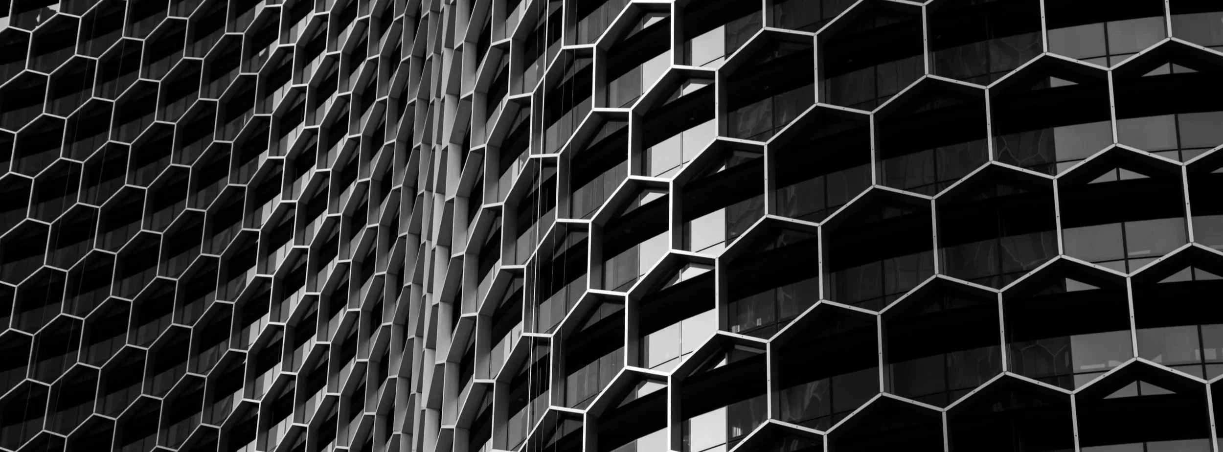 AdobeStock_222790962 (1).jpg