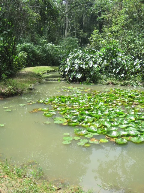 IMG_5220.JPG