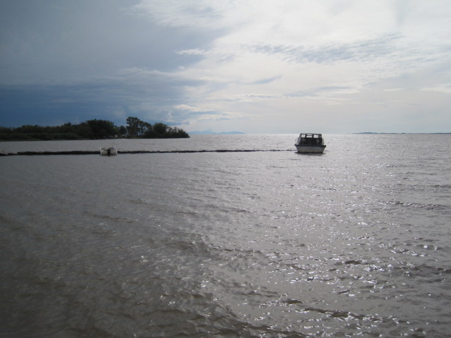 IMG_5600.JPG