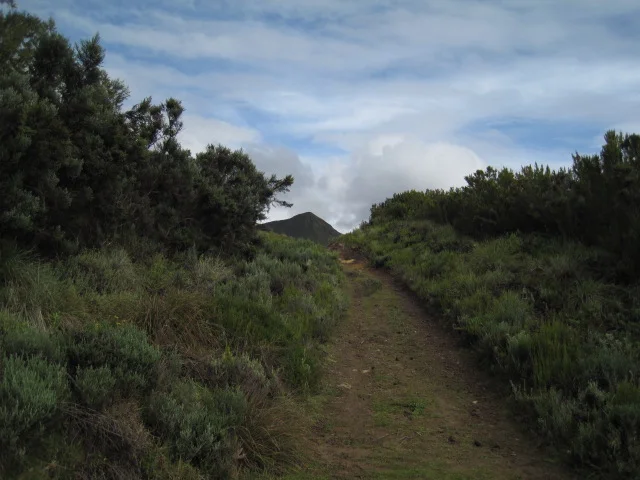 IMG_6007.JPG