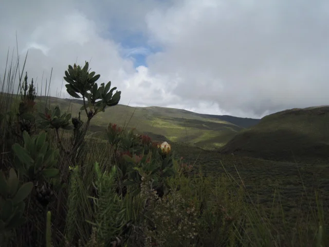 IMG_6042.JPG