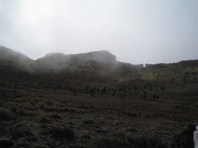 IMG_6115.JPG