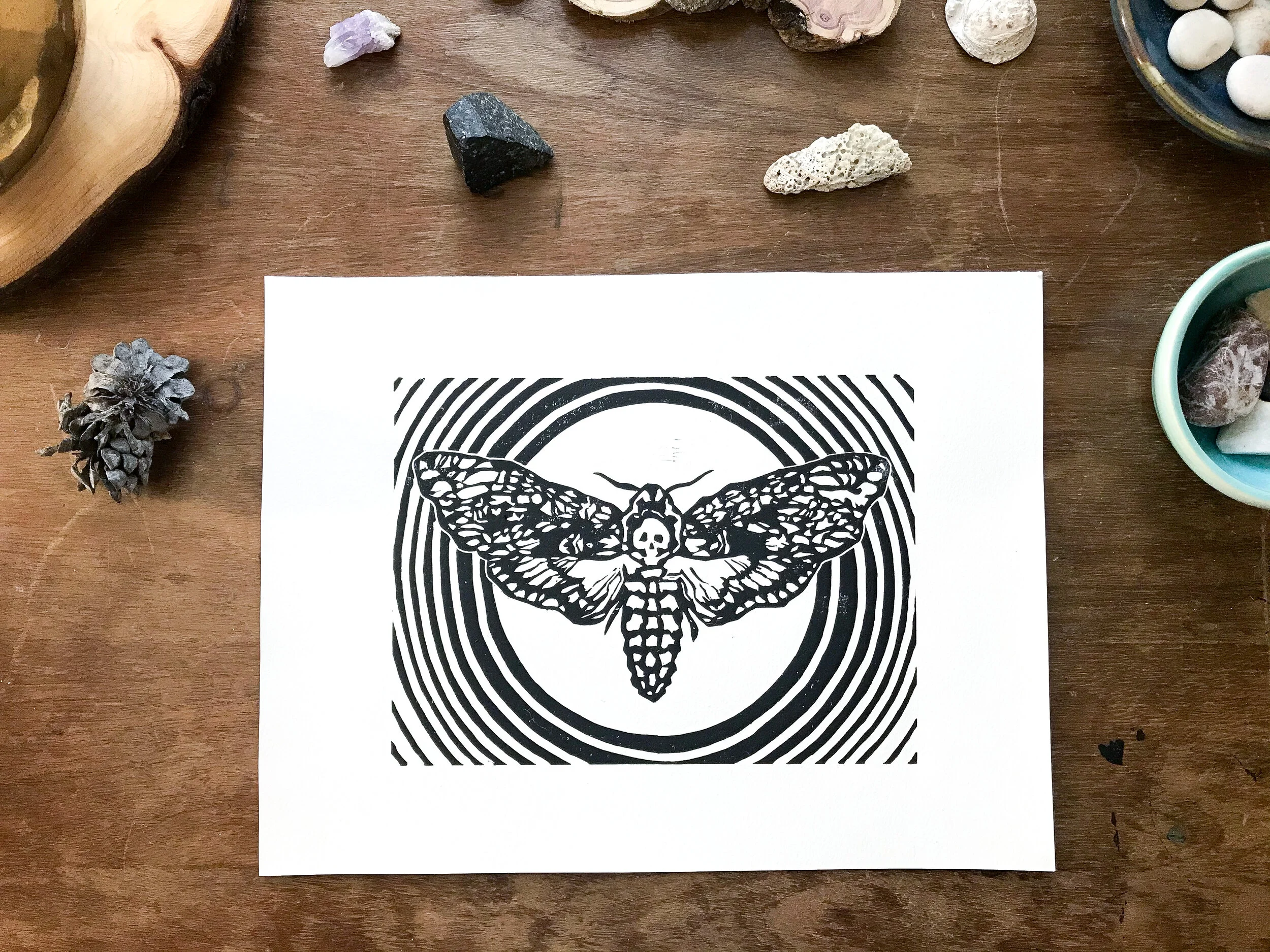 3FF529BC-D3C2-4ED5-8263-1494EC3F12A4