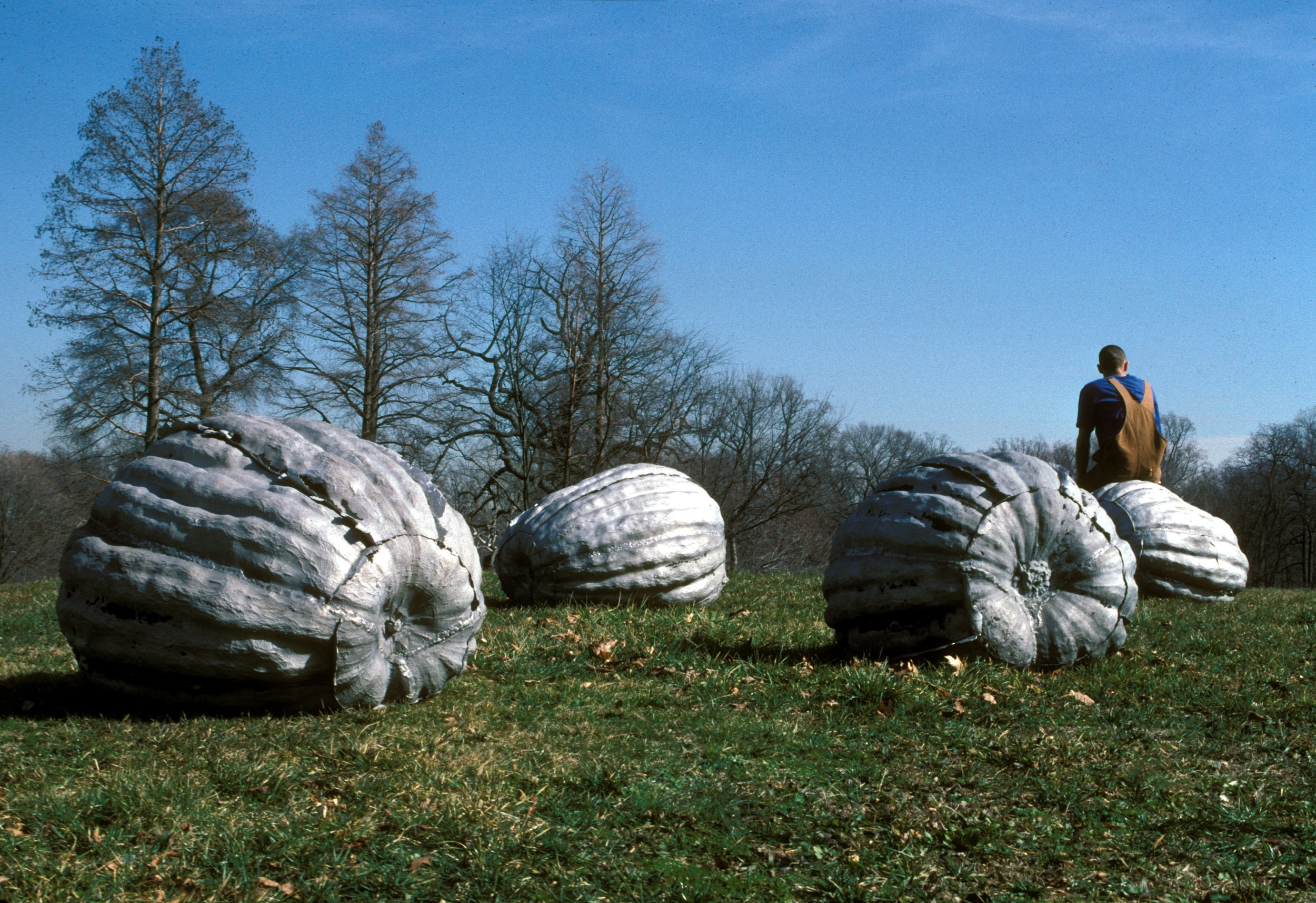 Aluminum Pumpkins  1995 - Present