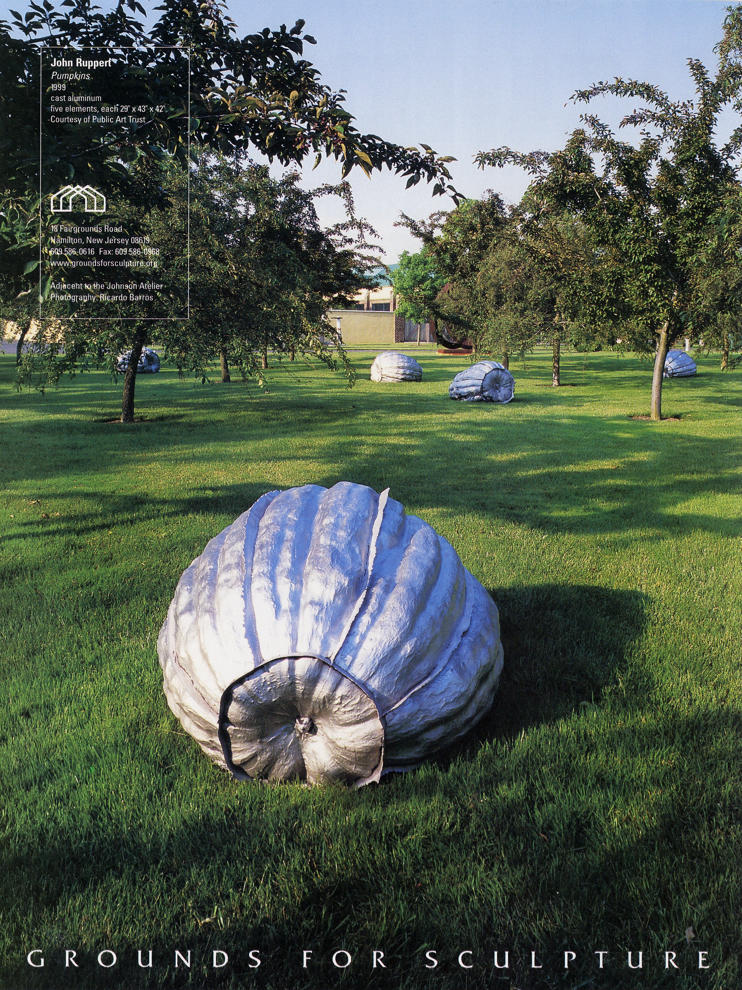 Pumpkins / Grounds for Sculpture, NJ.