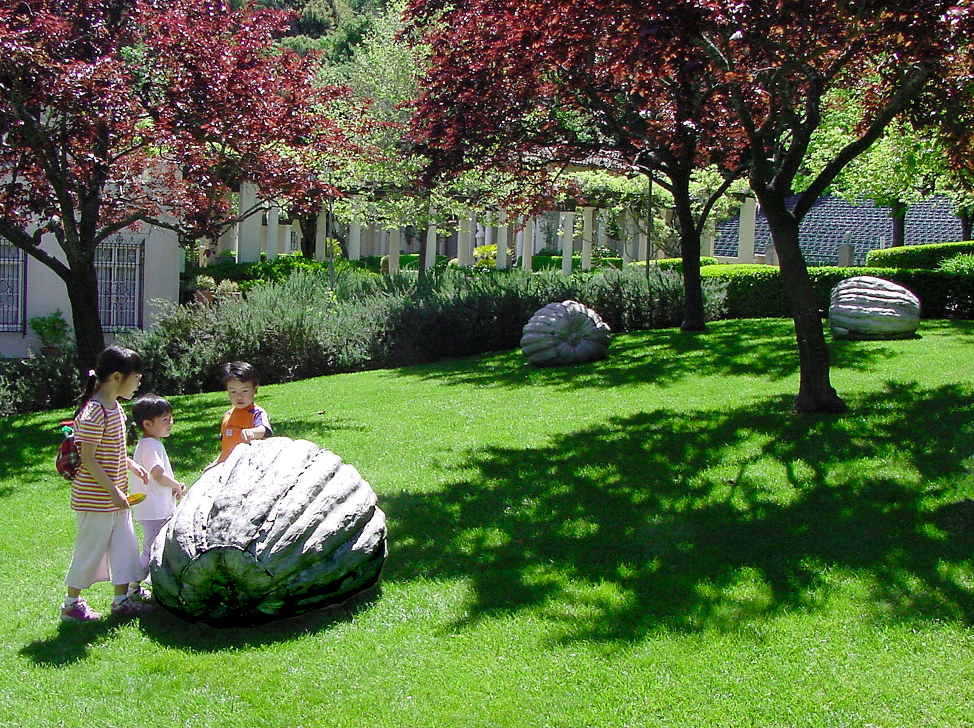 Pumpkins / Montavo Art Center, CA