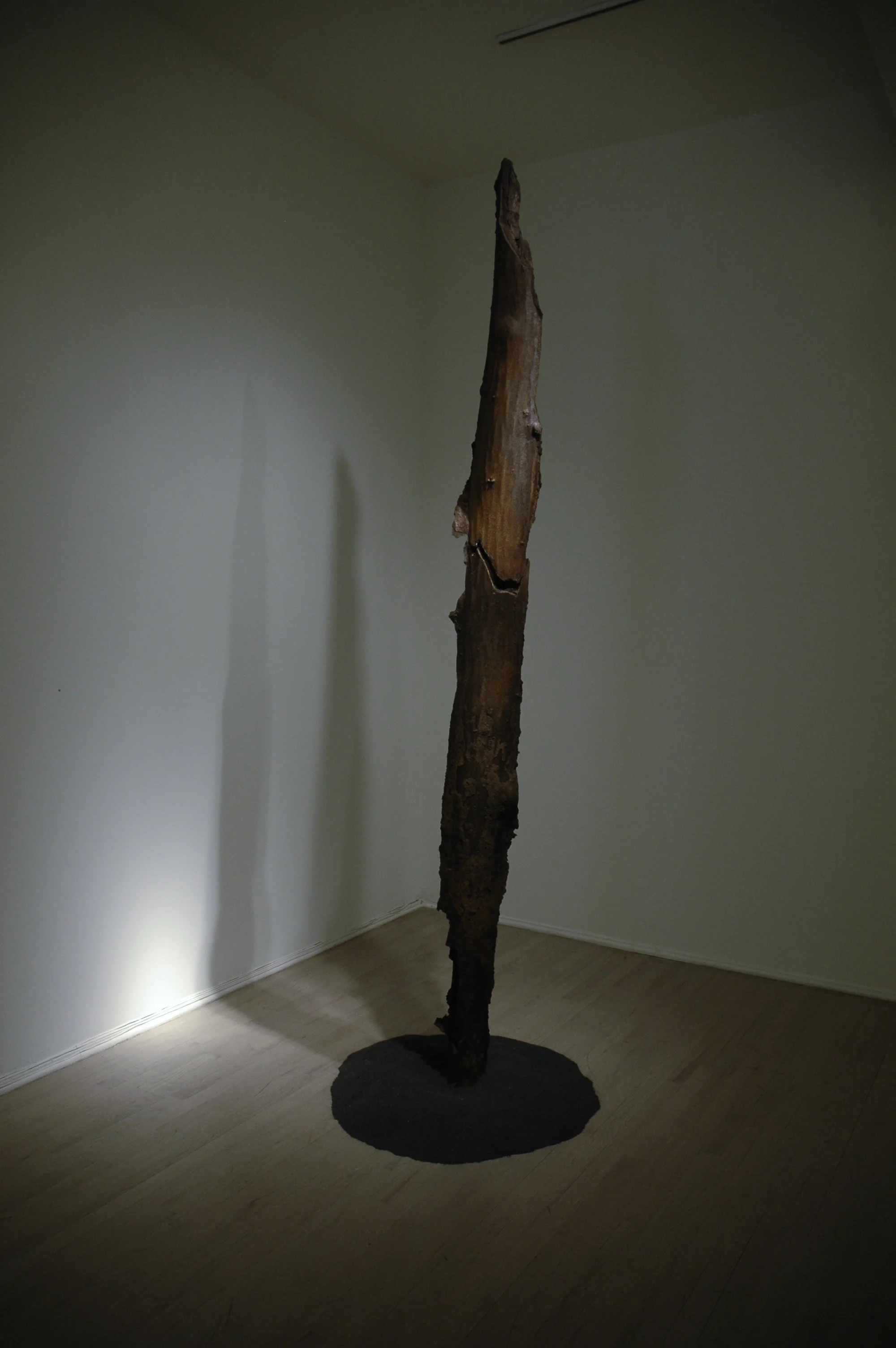 Split Column Strike  2009