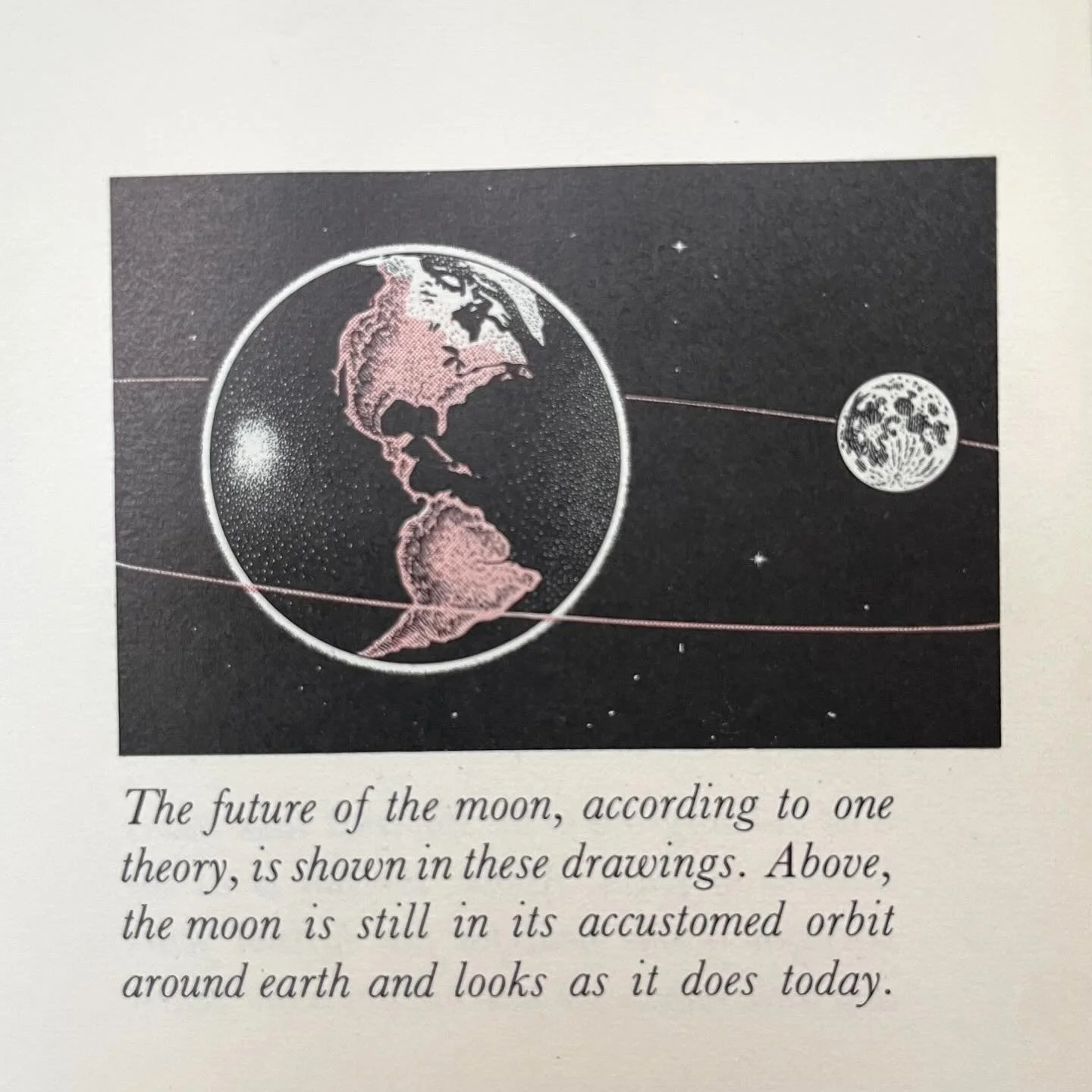 NEW M🌑🌑N
NEW FUTURE
NEW YEAR
Old book
#lifenaturelibrary