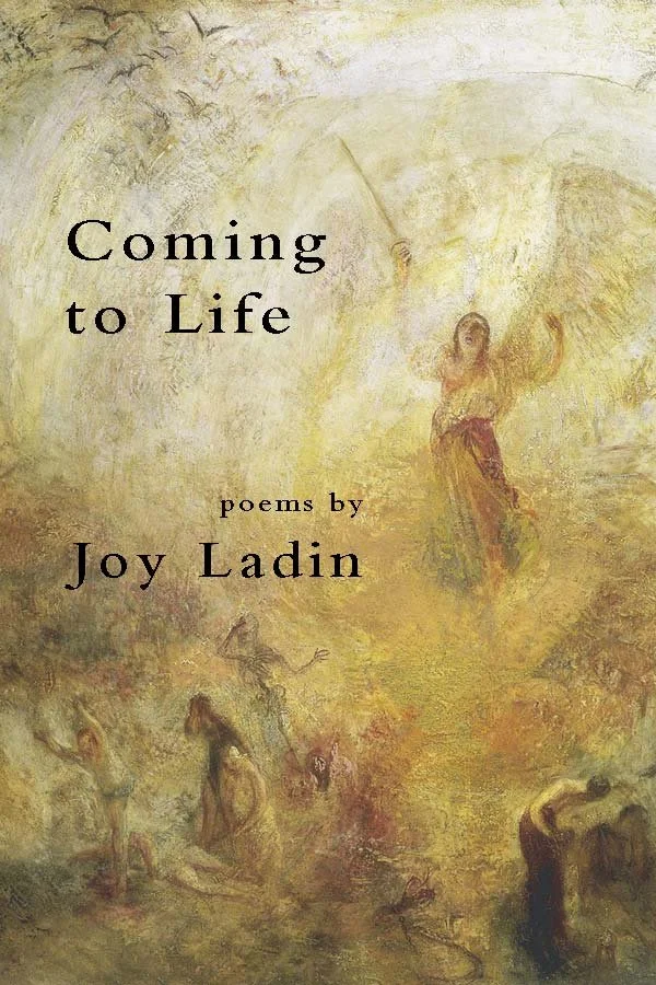 Ladin Front Cover.jpg