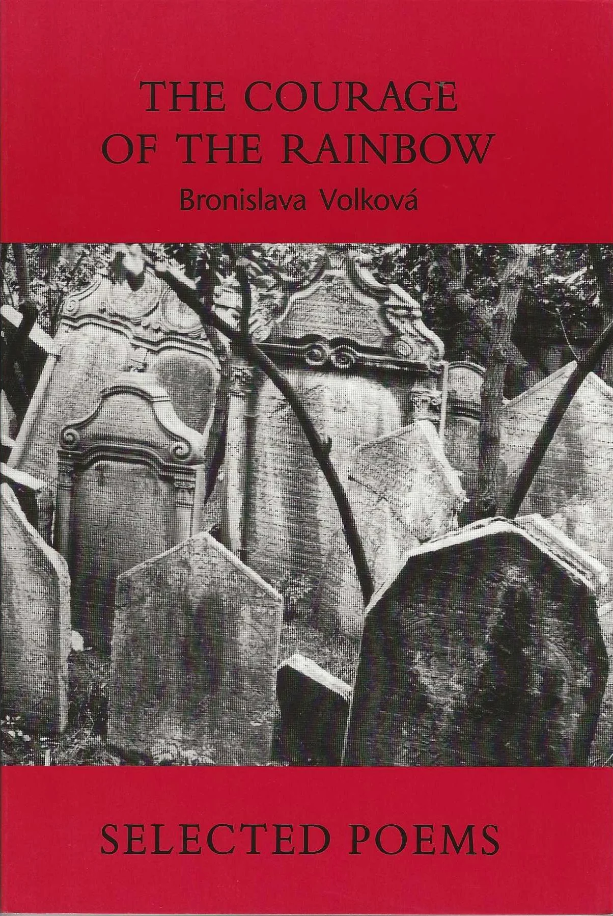 Volkova_Courage of the Rainbow.jpg