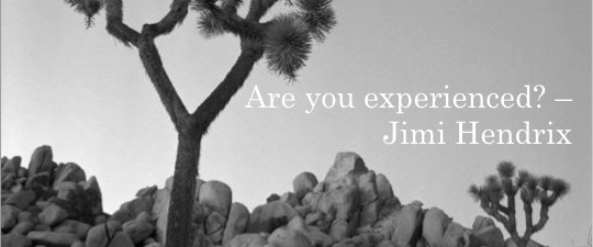 DOES TEACHER EXPERIENCE MATTER?