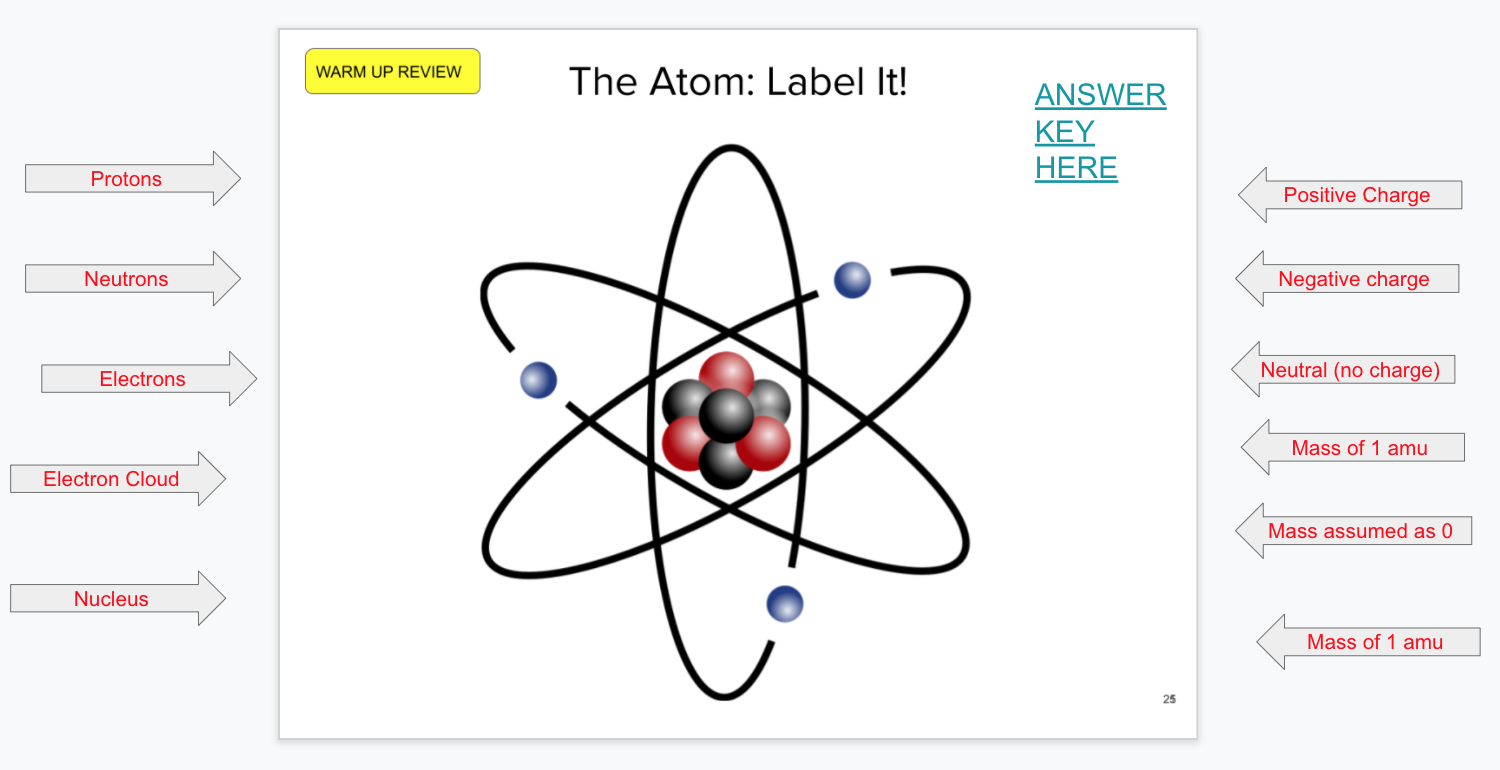Label It! Active Learning Activity in Google Slides. Click on the image for a copy you can modify.