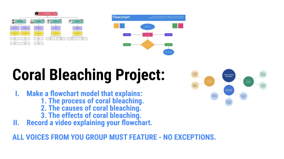 1 Coral Bleaching Project (Flowchart).png