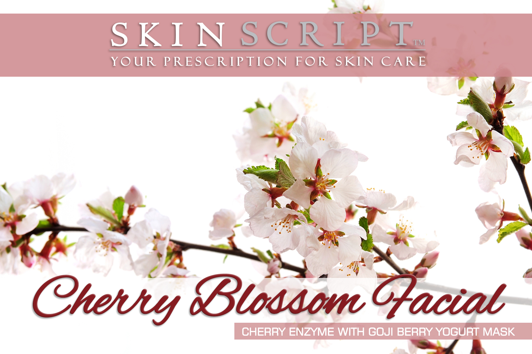 CherryBlossomFacial_4x6_1_HR.jpg