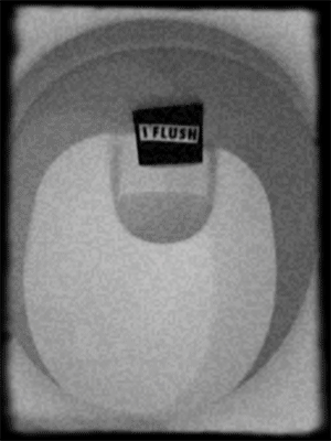FLUSH-DOWN-XS.gif