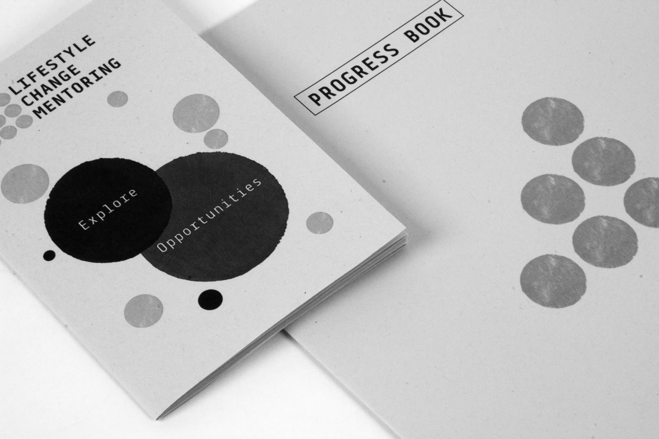 LIFELINE PROGRESS BOOK 0170.jpg
