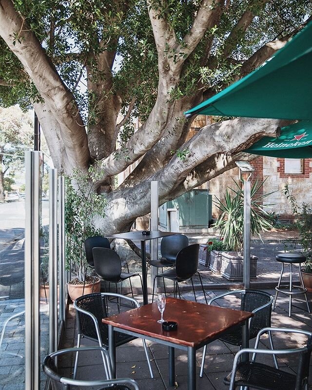 We feel very spoilt with our gorgeous, leafy location. Such a peaceful spot to relax in | 187 King William Road, Hyde Park