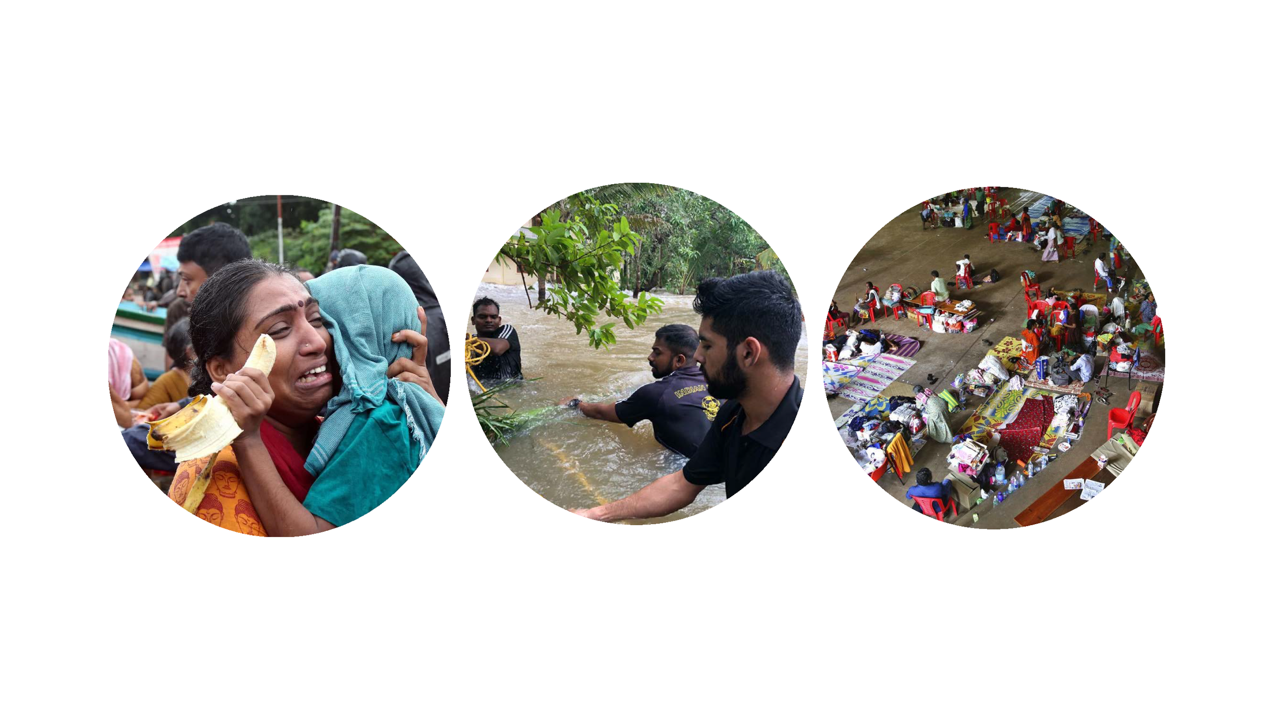 kerala website images2.png