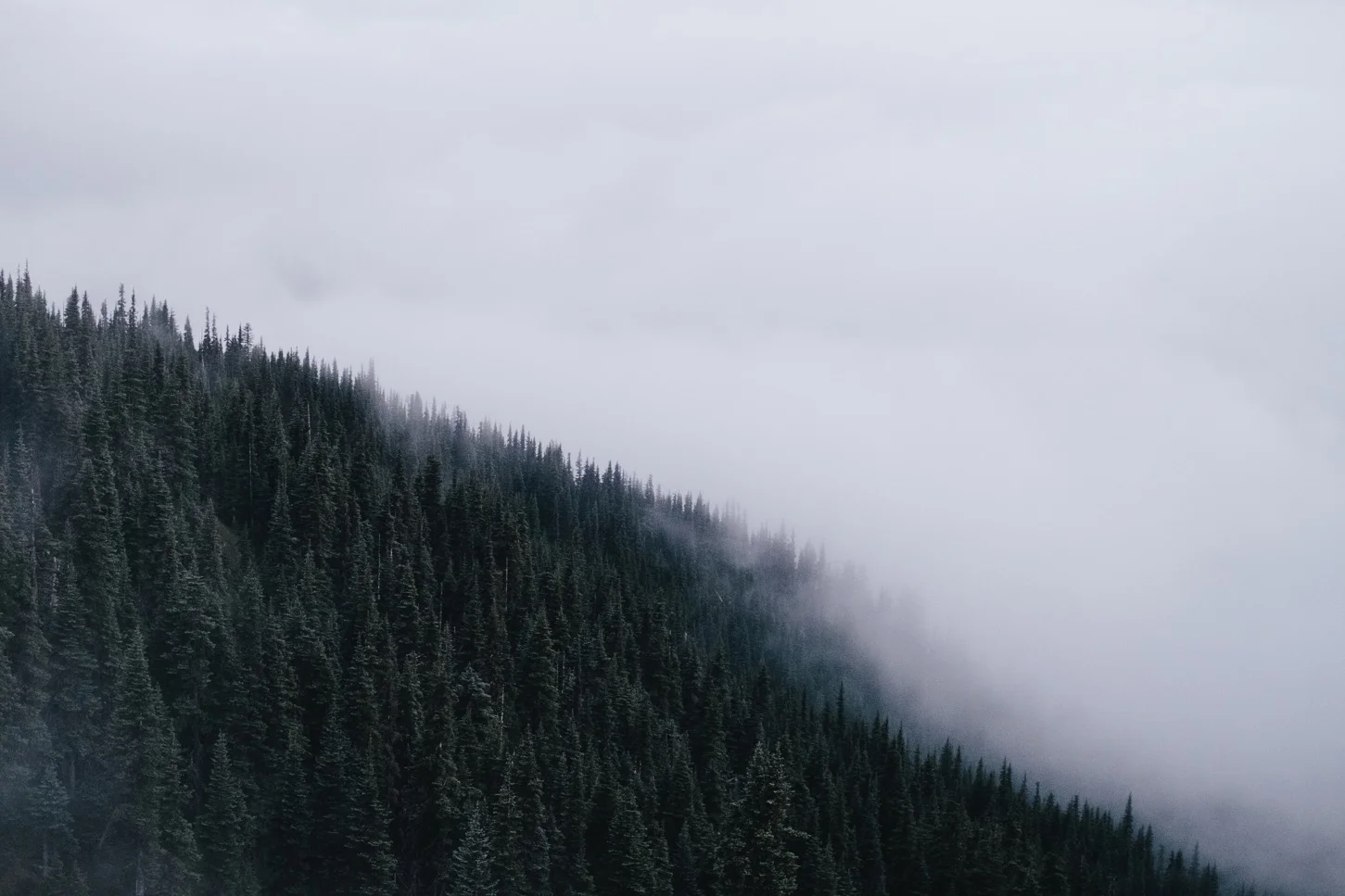 hurricaneHillFog2.jpg