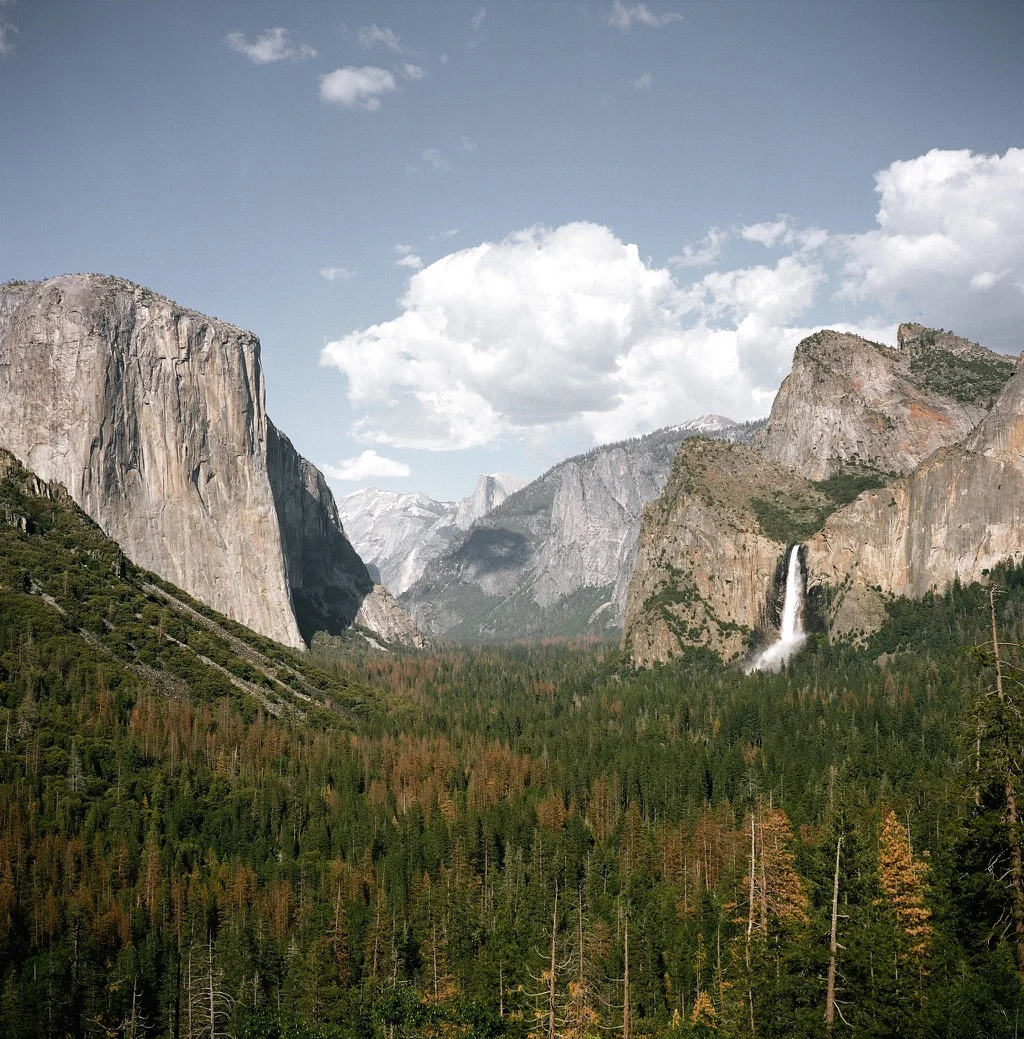 yosmiteFilm-10.jpg