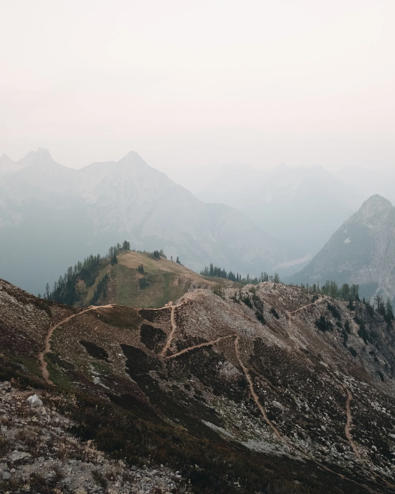 maplePassLoop-6.jpg