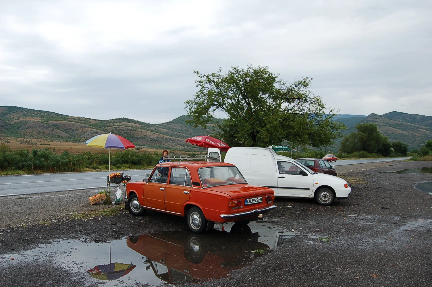 DSC_0865.JPG