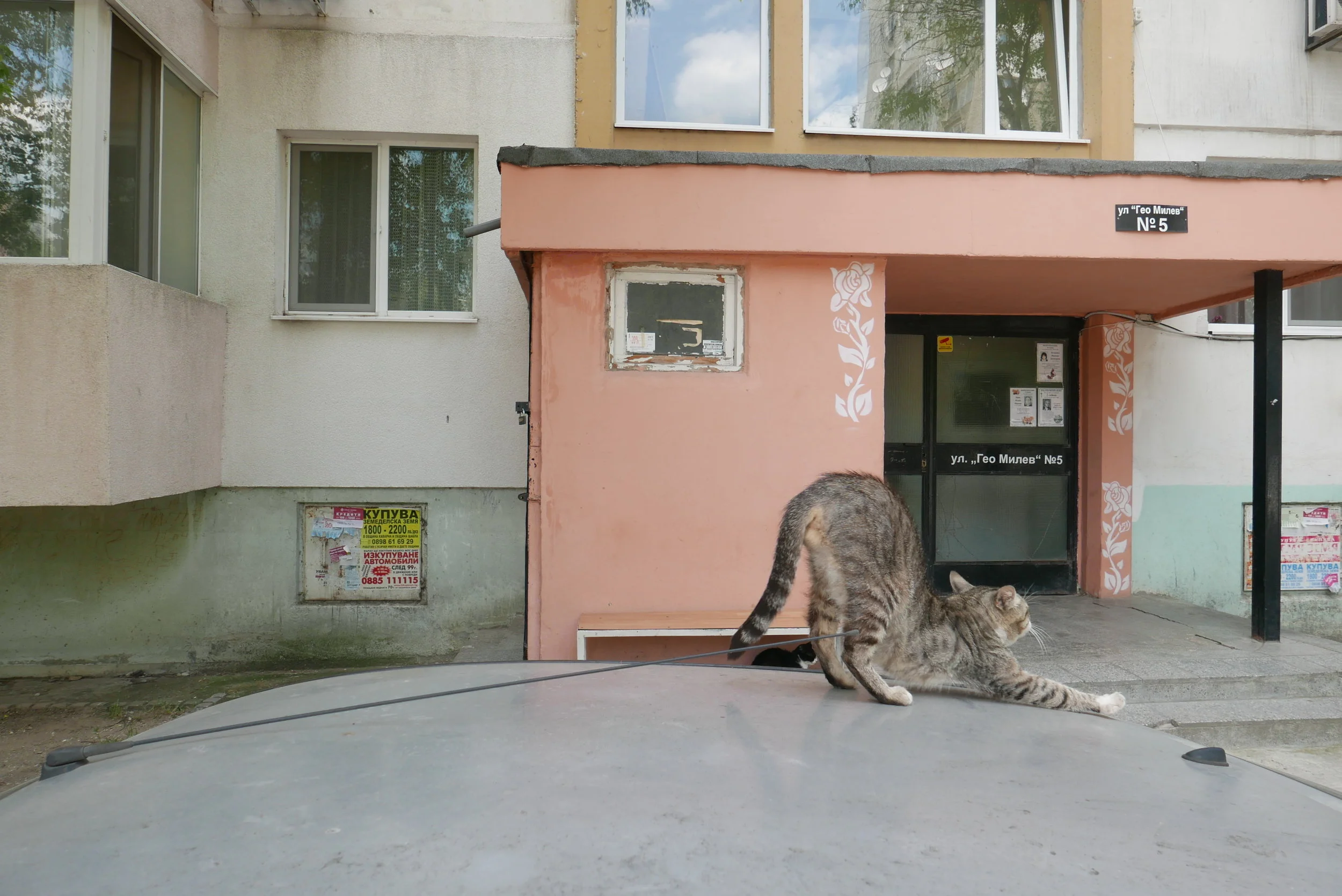 P1160819.JPG