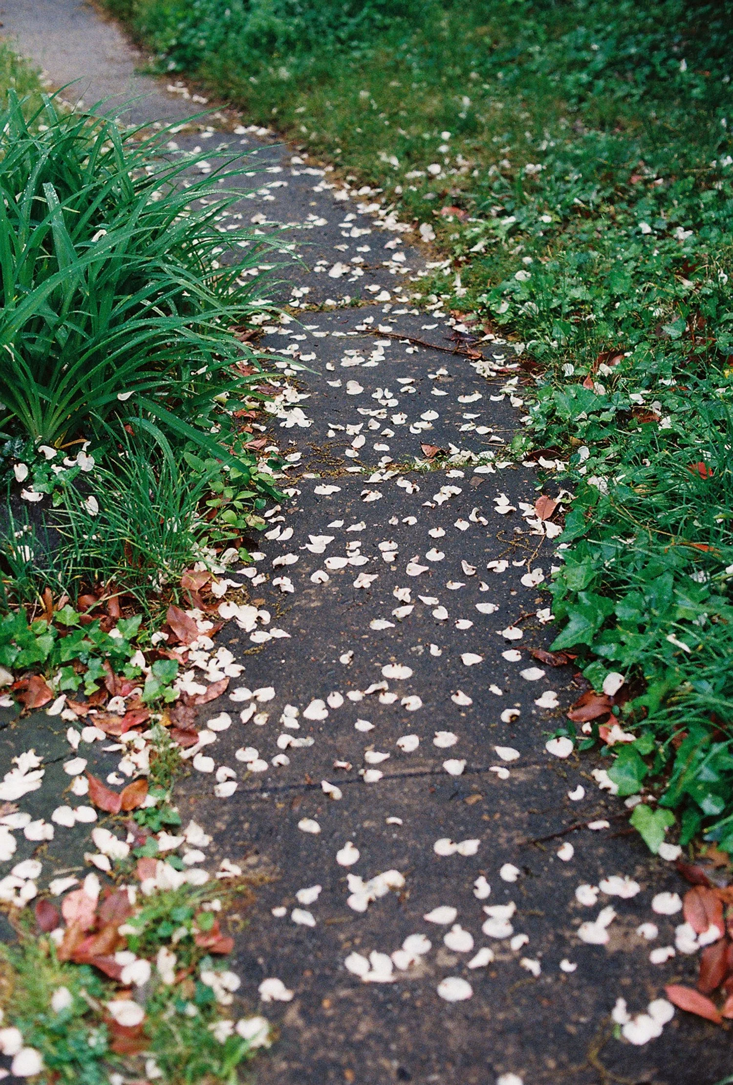 P93128a-R01-014.Jpg