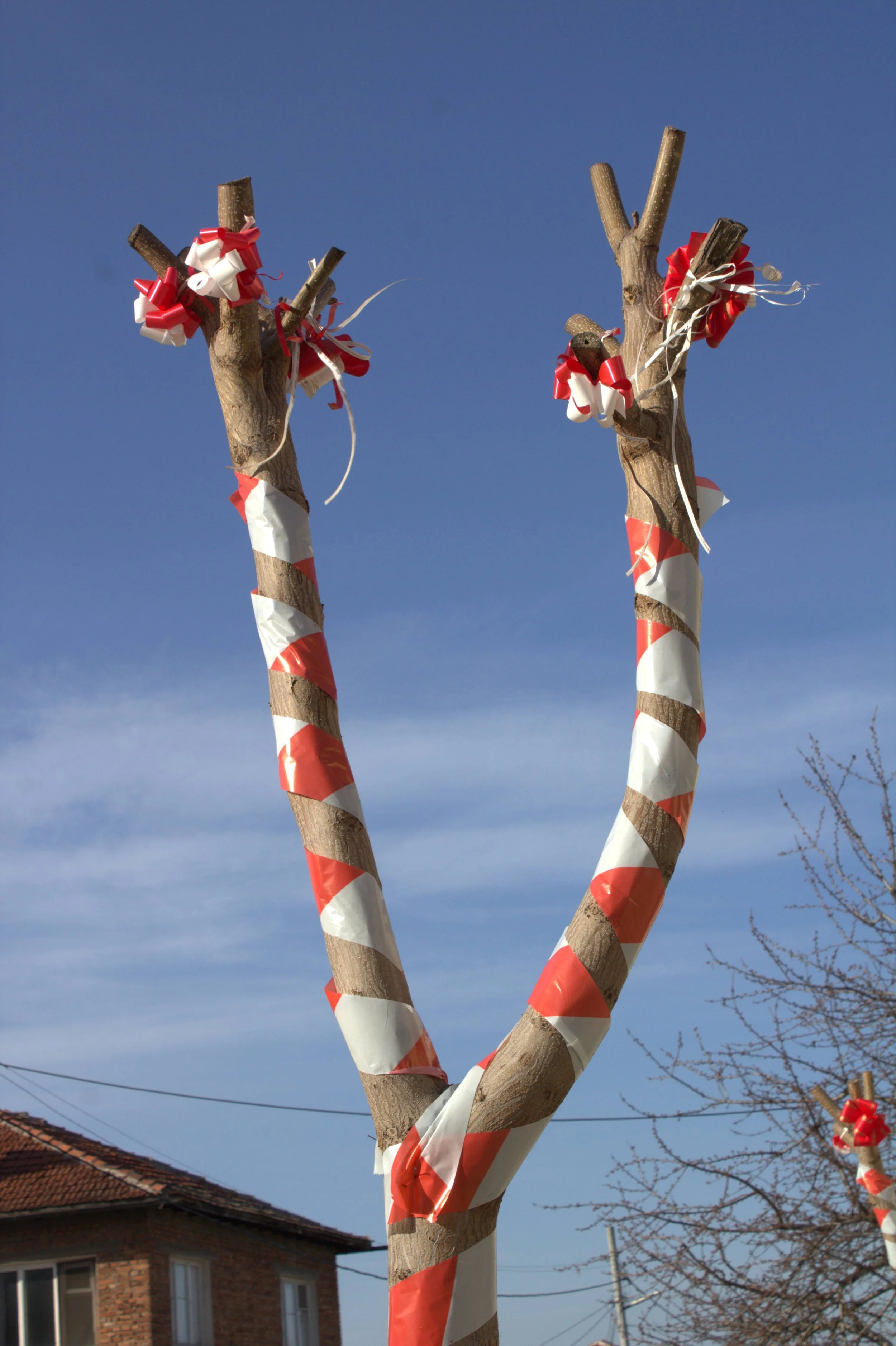 IMG_7532 - Copy2.jpg