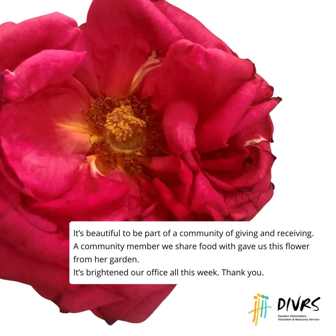 We love being a part of a community of giving and receiving, where everyone is valued.

One of our community members we share fresh food, bread and pantry staples with gave us this flower from her garden. It's brightened our office all week. We hope 