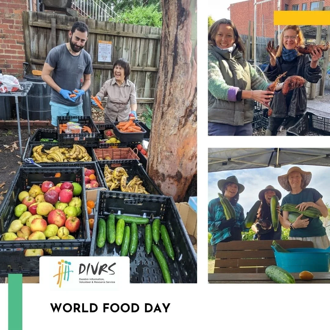 Today is World Food Day.  At DIVRS we believe in  food security and access to nutritious food for everyone. The Day also highlights the importance of sustainable agriculture and food production to address global food challenges. 
We grow and harvest