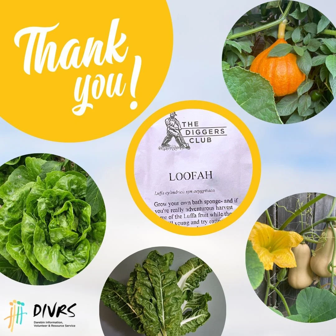 Last year, our Urban Food team received an incredible package in the mail: 1000s of seeds! And not just any seeds, they were from The Diggers Club, one of Australia's most respected gardening institutions. Their Seed the Future initiative shares seed