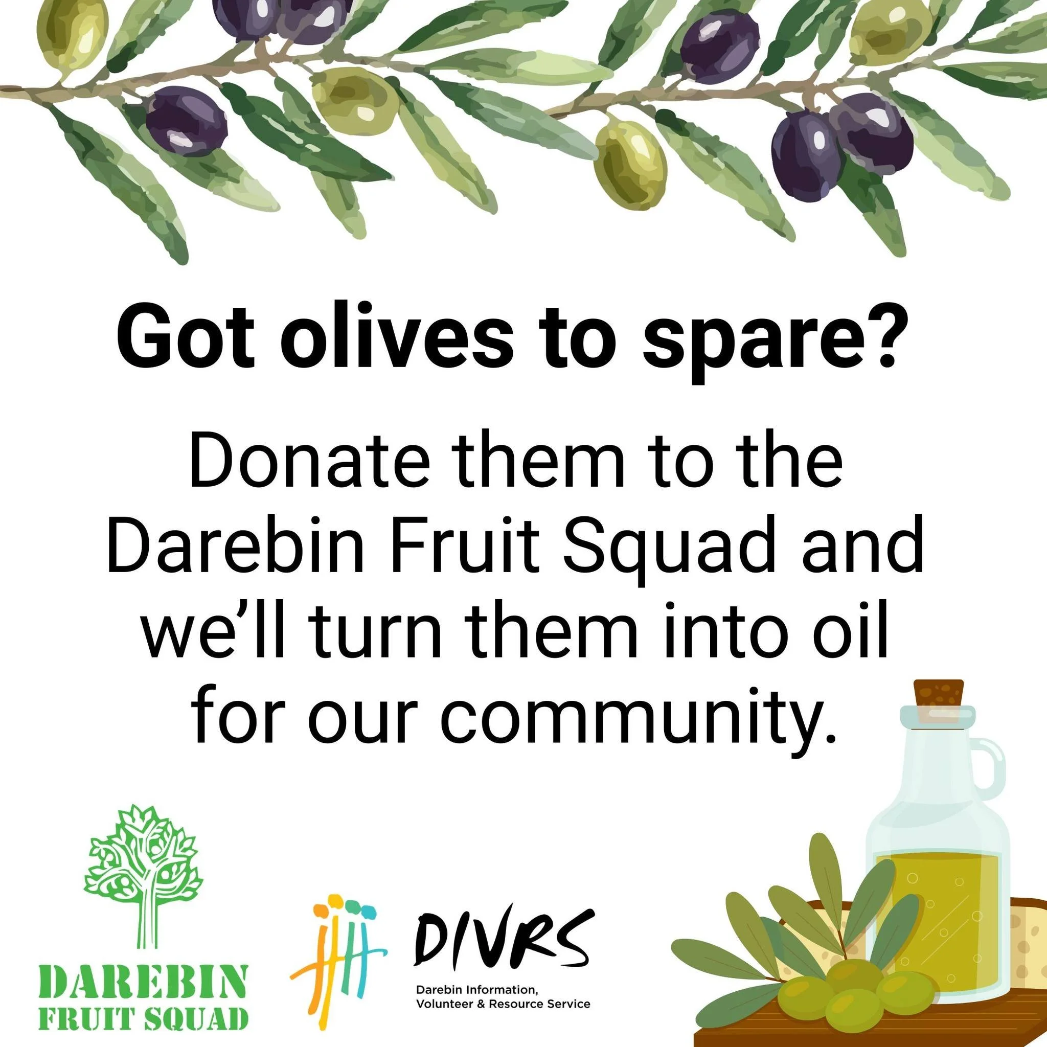 It&rsquo;s olive season, which means the Darebin Fruit Squad will be out picking olives to send to CERES, who will press them into oil for us. We&rsquo;ll then share that oil with people experiencing food insecurity.

We&rsquo;re also looking for hou