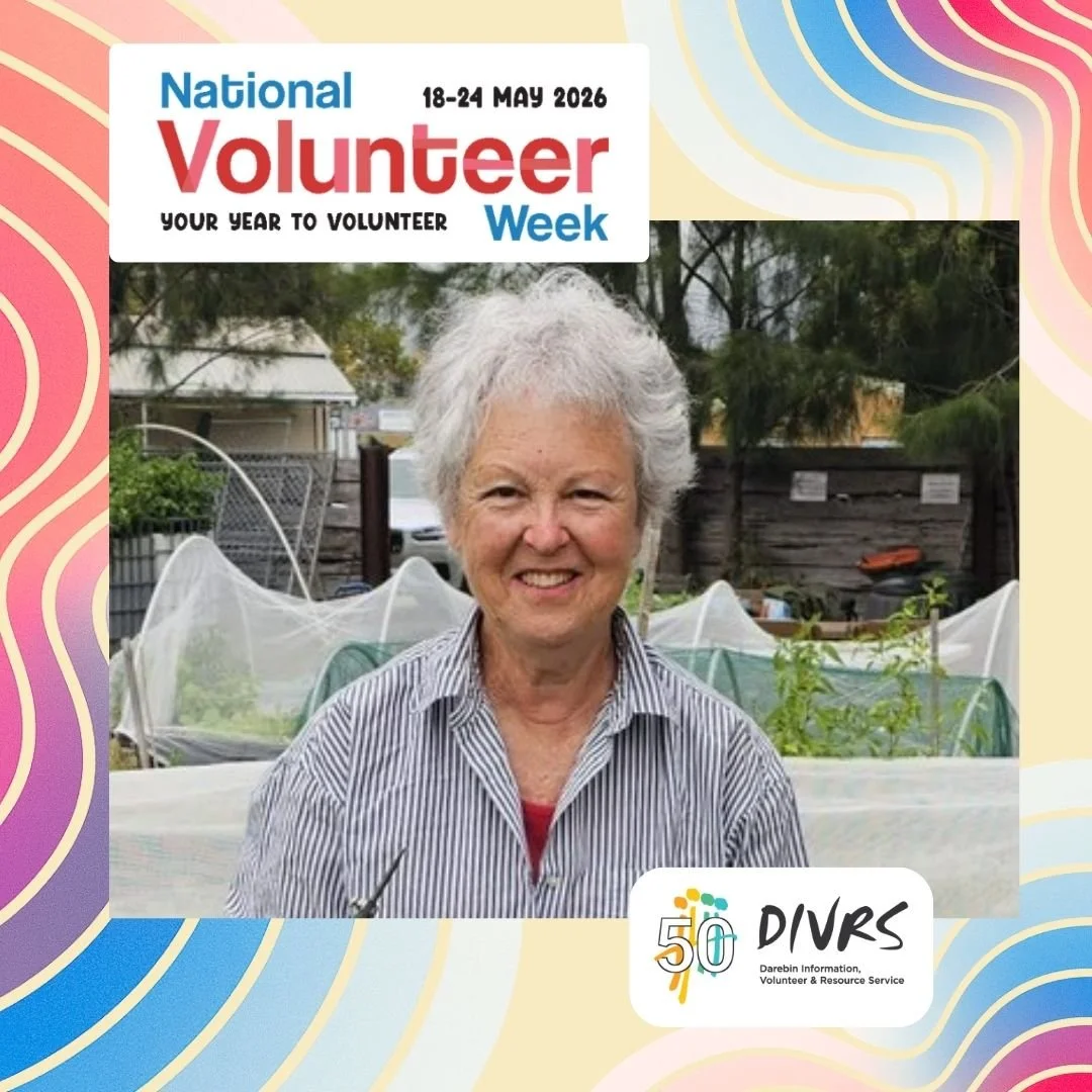 This week is National Volunteer Week and every day we're sharing a story about volunteering with DIVRS. 

Today, meet Judy - a volunteer with our Urban Food Program where we grow and harvest fresh fruit and veg to share with people experiencing food 