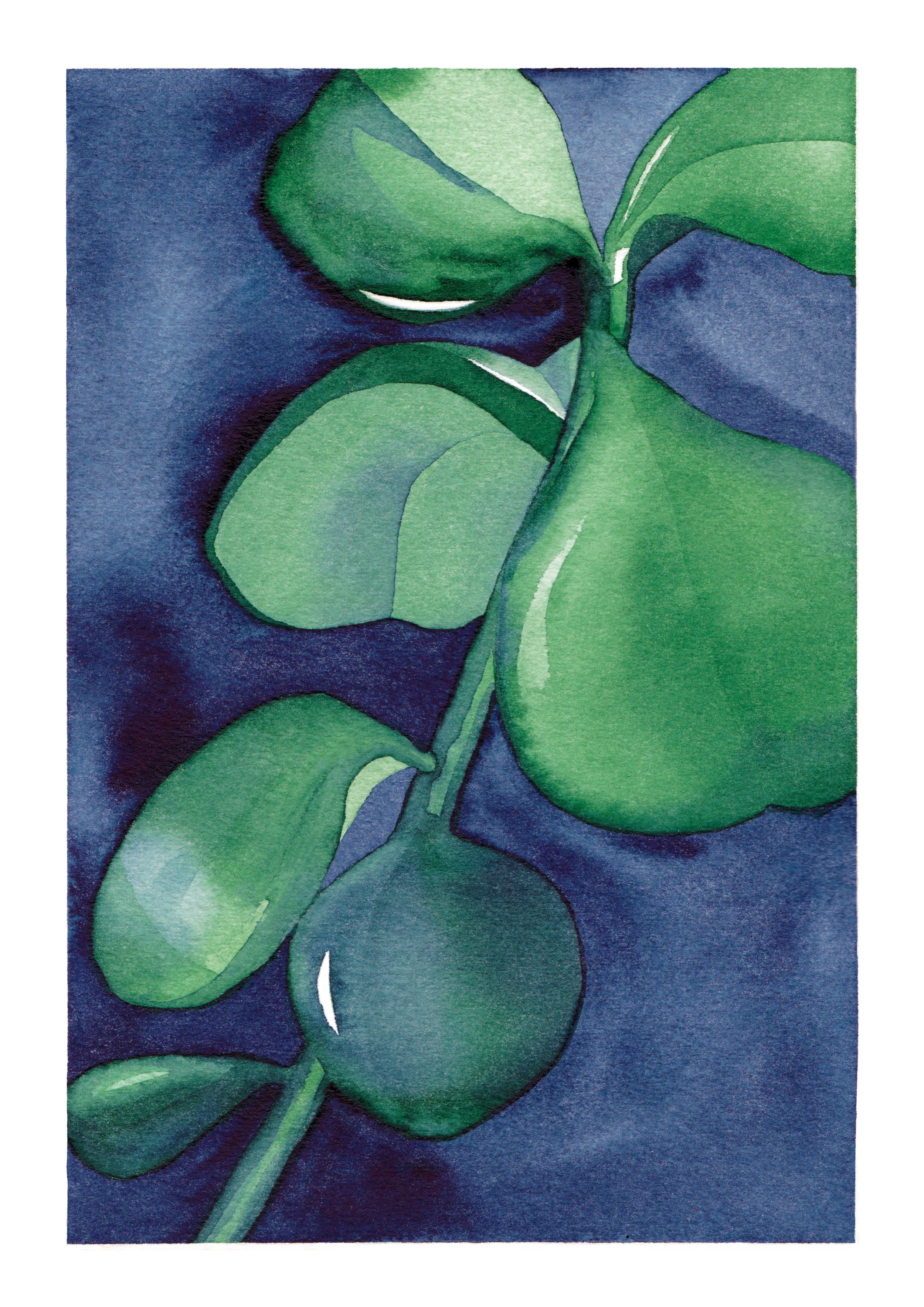 contemporary botanical artists