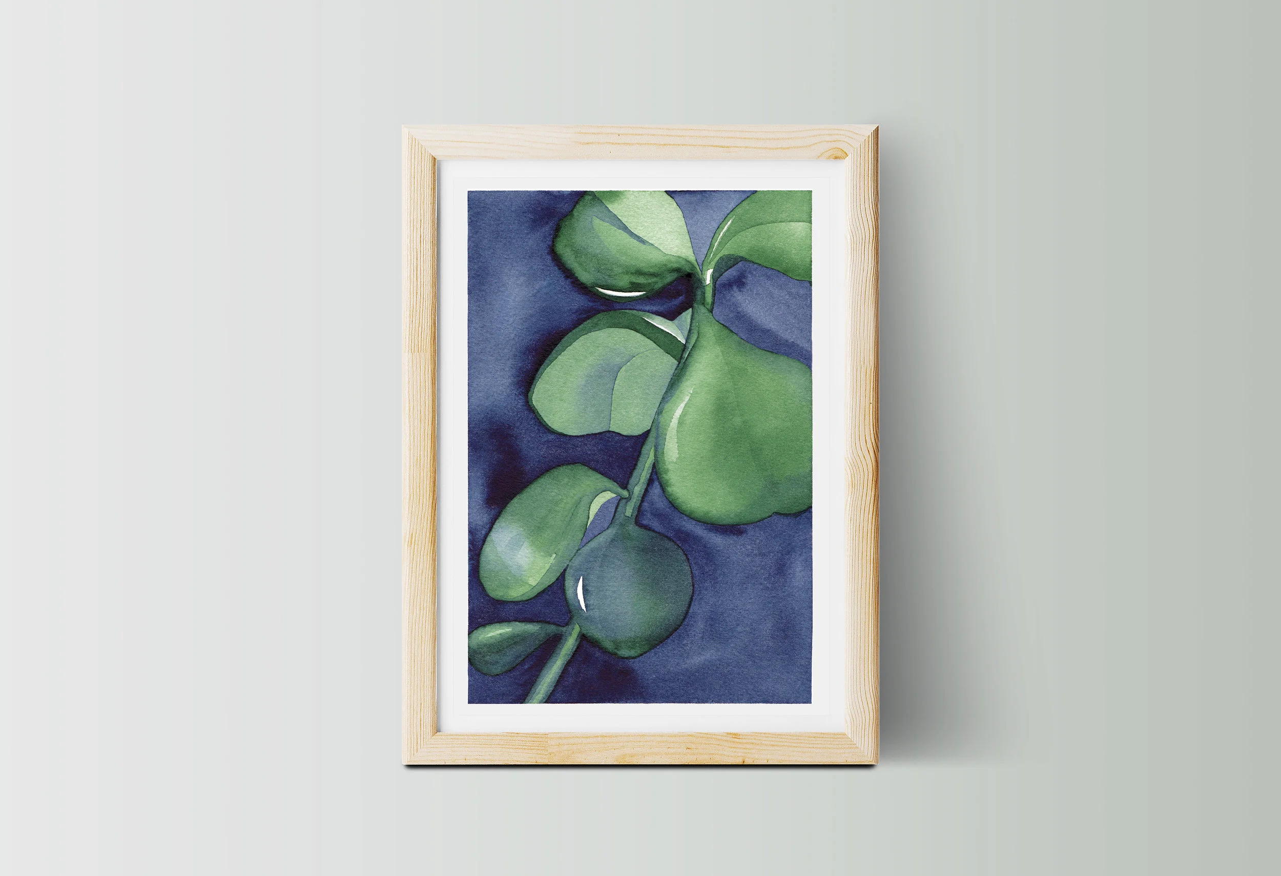 beautiful australian botanical art