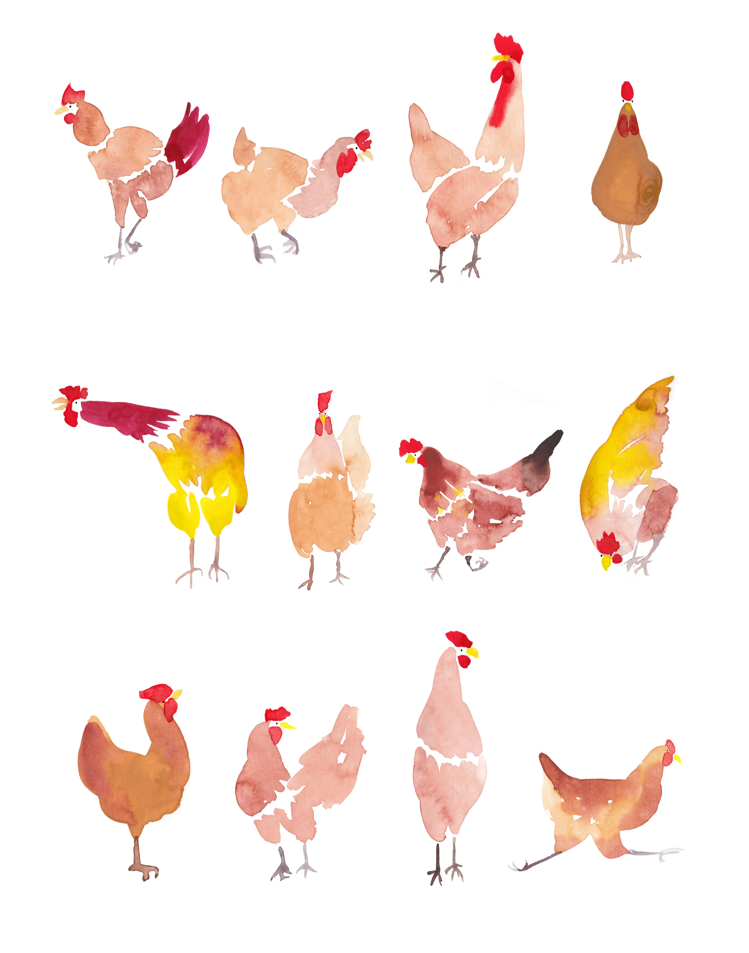 Chickens_11x14inch.jpg