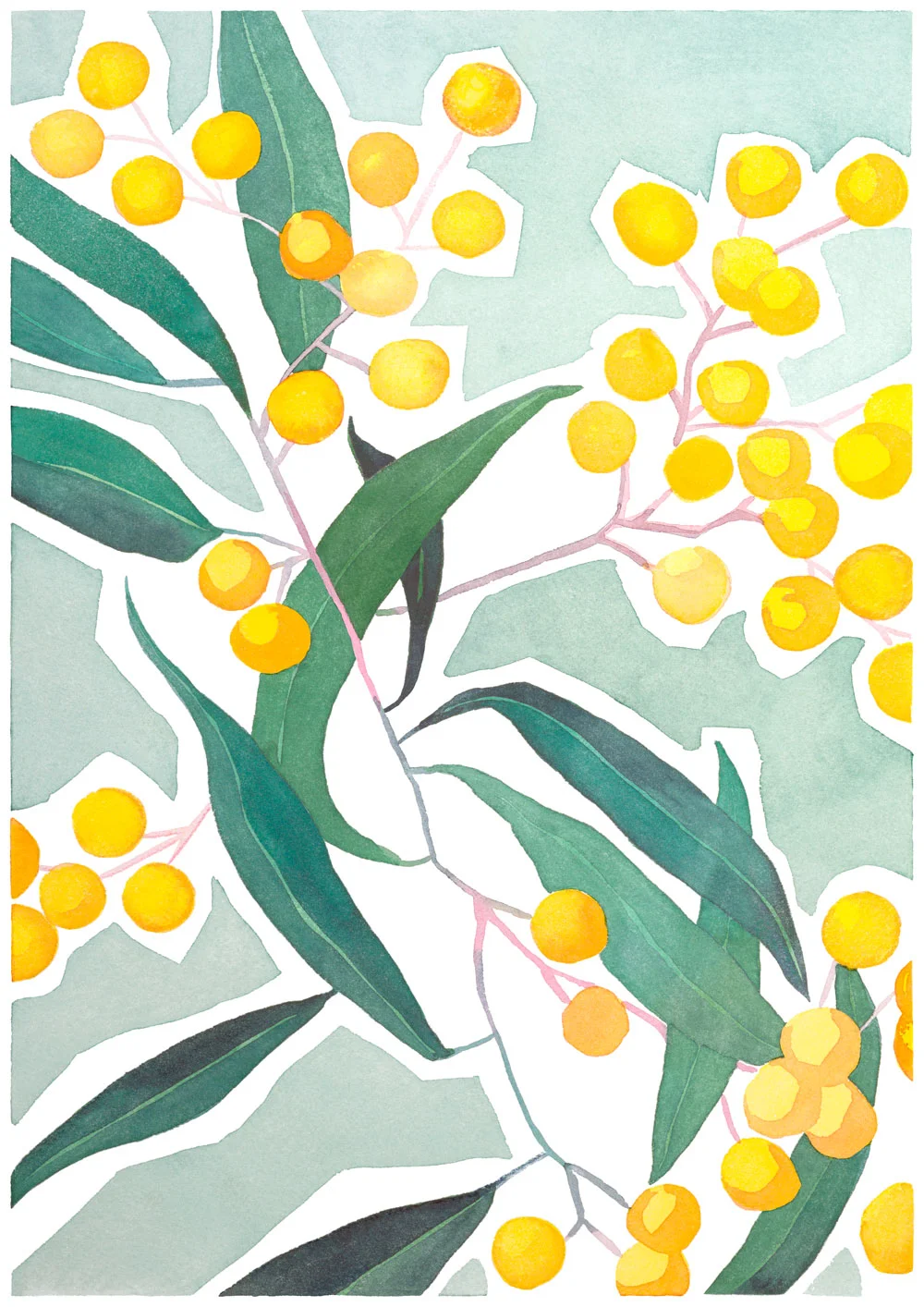 3.LK_yellowwattle_edit.jpg