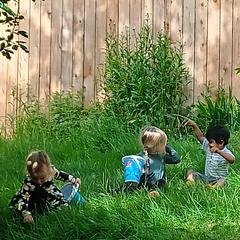 image_processing20260608-49-f239c4.jpg