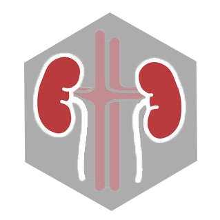 renal.png