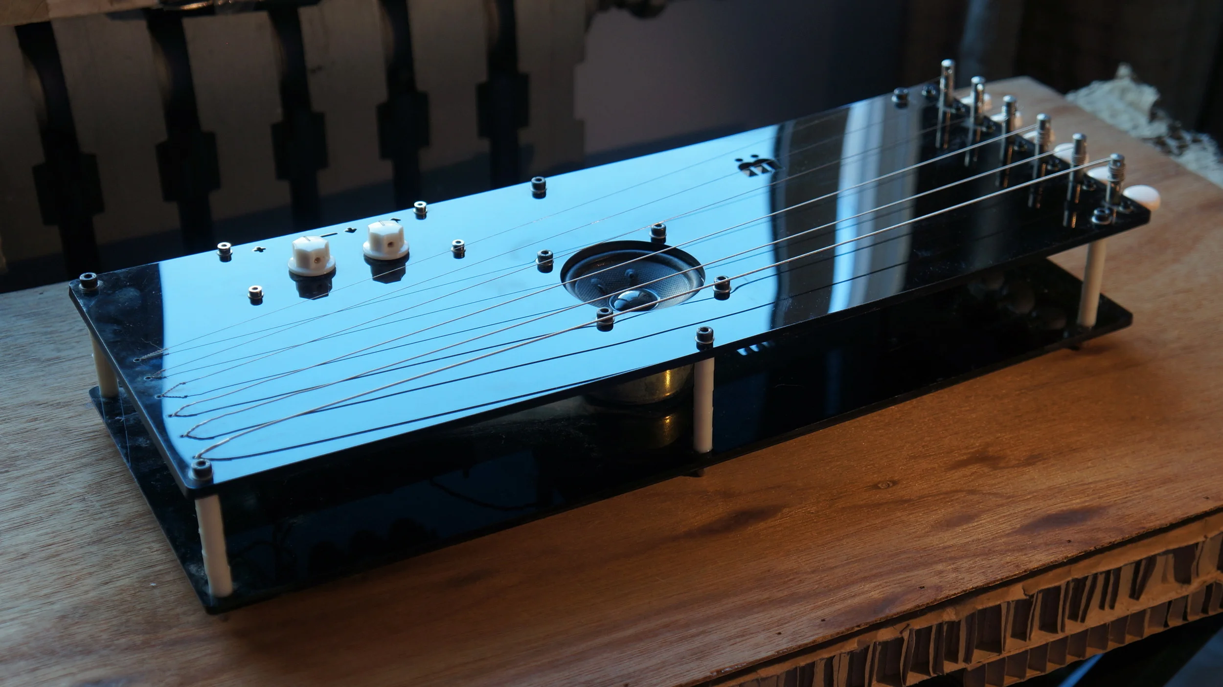 Feedback Lapsteel 1.JPG