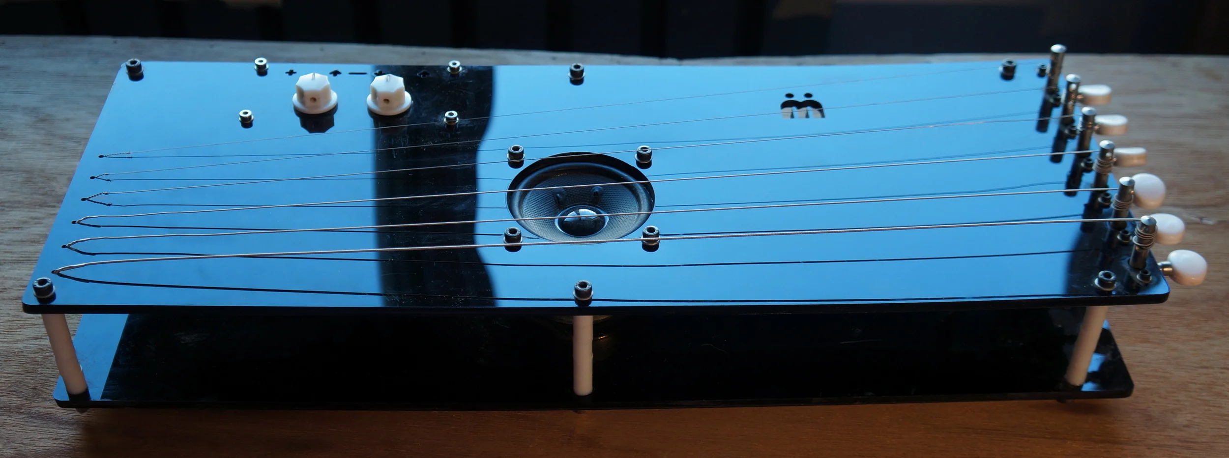 Feedback Lapsteel 3.JPG